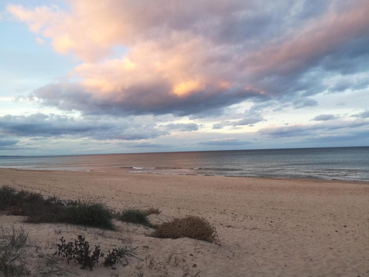 Apartamento Con Vistas Al Mar Oliva Esterno foto